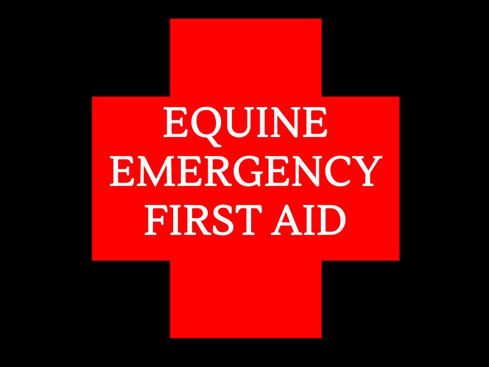 Equine First Aid - Theory Only - Online Course